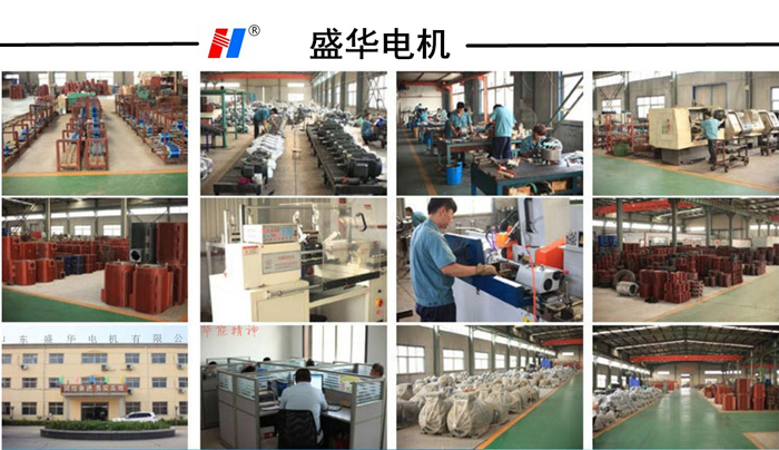 高效節能電機,電機生產廠家,山東電機廠,環保設備專用電機,盛華電機 高效節能電機,電機生產廠家,山東電機廠,環保設備專用電機,盛華電機
