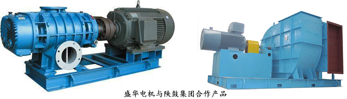 高效節(jié)能電機,山東電機廠,電機生產(chǎn)廠家.盛華電機,風(fēng)機專用電機