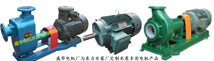 山東電機(jī)廠,水泵專用電機(jī),電機(jī)定制