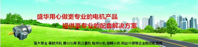 山東聊城盛華電機生產廠家,輸送設備專用電機,電機定制