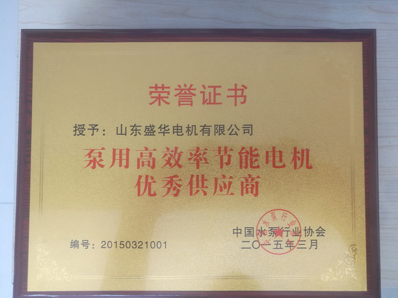 盛華電機(jī)公司資質(zhì)榮譽(yù)《泵用電機(jī)優(yōu)秀供應(yīng)商》 盛華電機(jī)公司資質(zhì)榮譽(yù)《泵用電機(jī)優(yōu)秀供應(yīng)商》