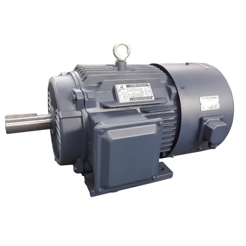 山東電機(jī)廠,電機(jī)生產(chǎn)廠家,盛華電機(jī),變頻調(diào)速電機(jī)