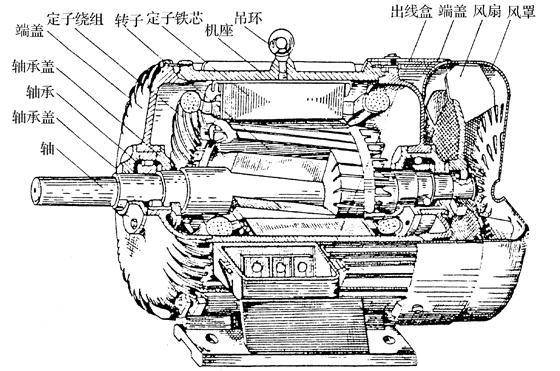 電機(jī)生產(chǎn)廠家-高效電機(jī)